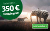 Ein Elefant und ein Zebra stehen in der Landschaft. Werbung für 350 Euro Urlaubsgeld mit dem Text 'Jetzt bestellen' in einer Schaltfläche.