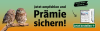 Aktionsangebot: Sichern Sie sich bis zu 350€ Prämie für Ihre regionale Zeitung. Nur bis 25.08. und 1 Monat gratis.