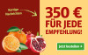 350 Euro FÜR JEDE EMPFEHLUNG! in Rot neben grünem Jetzt bestellen-Button