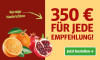 350 Euro FÜR JEDE EMPFEHLUNG! in Rot neben grünem Jetzt bestellen-Button