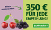 Anzeige für ein Zeitungsabonnement. Text: "350 € für jede Empfehlung!" und Button „Jetzt bestellen“.